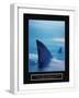 White Frame