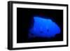 Into Darkness: Underwater Cave Scuba Diving Silhouettes-Rich Carey-Framed Photographic Print