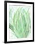 Into Green 1-Beverly Dyer-Framed Art Print