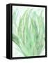 Into Green 1-Beverly Dyer-Framed Stretched Canvas