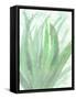 Into Green 2-Beverly Dyer-Framed Stretched Canvas