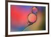 Into Place-Heidi Westum-Framed Photographic Print