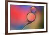 Into Place-Heidi Westum-Framed Photographic Print