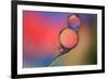 Into Place-Heidi Westum-Framed Photographic Print