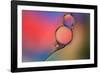 Into Place-Heidi Westum-Framed Photographic Print