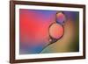 Into Place-Heidi Westum-Framed Photographic Print