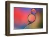 Into Place-Heidi Westum-Framed Photographic Print