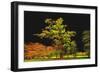 Into The Black-Philippe Sainte-Laudy-Framed Photographic Print