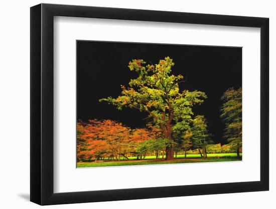 Into The Black-Philippe Sainte-Laudy-Framed Photographic Print