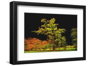 Into The Black-Philippe Sainte-Laudy-Framed Photographic Print