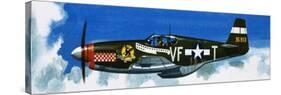 Into the Blue: American War-Planes-Wilf Hardy-Stretched Canvas