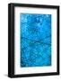 Into the Blue II-Doug Chinnery-Framed Photographic Print