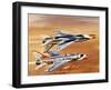 Into the Blue: Thunderbirds-Wilf Hardy-Framed Giclee Print