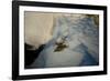 Into the blue-Valda Bailey-Framed Photographic Print