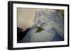 Into the blue-Valda Bailey-Framed Photographic Print