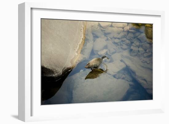 Into the blue-Valda Bailey-Framed Photographic Print