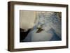 Into the blue-Valda Bailey-Framed Photographic Print