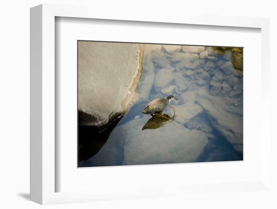 Into the blue-Valda Bailey-Framed Photographic Print
