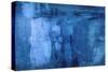 Into the Blue-Michelle Oppenheimer-Stretched Canvas