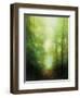 Into the Clearing-Julia Purinton-Framed Art Print