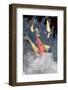 Into the Clouds-SooperSteve-Framed Photographic Print