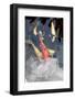 Into the Clouds-SooperSteve-Framed Photographic Print