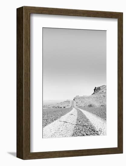 Into the Desert-Nathan Larson-Framed Photographic Print