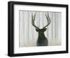 Into the Forest Crop-James Wiens-Framed Art Print