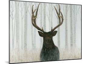 Into the Forest Crop-James Wiens-Mounted Art Print