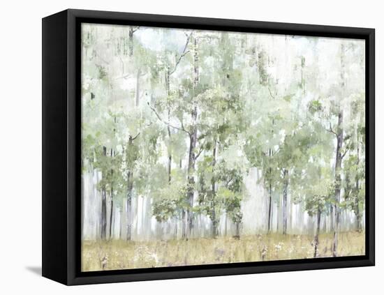 Into the Forest Light-Allison Pearce-Framed Stretched Canvas
