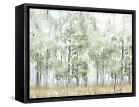 Into the Forest Light-Allison Pearce-Framed Stretched Canvas