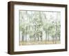 Into the Forest Light-Allison Pearce-Framed Art Print