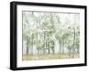 Into the Forest Light-Allison Pearce-Framed Art Print