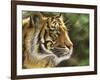 Into the Jungle-Chuck Black-Framed Giclee Print