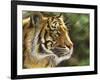 Into the Jungle-Chuck Black-Framed Giclee Print