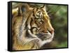 Into the Jungle-Chuck Black-Framed Stretched Canvas