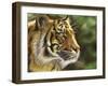 Into the Jungle-Chuck Black-Framed Giclee Print