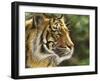 Into the Jungle-Chuck Black-Framed Giclee Print