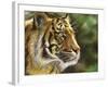 Into the Jungle-Chuck Black-Framed Giclee Print