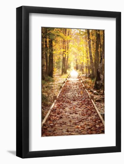 Into the Light-Michael Hudson-Framed Art Print