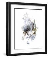 Into the Light-Kiran Patel-Framed Art Print