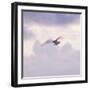 Into the Light-Jacob Berghoef-Framed Photographic Print