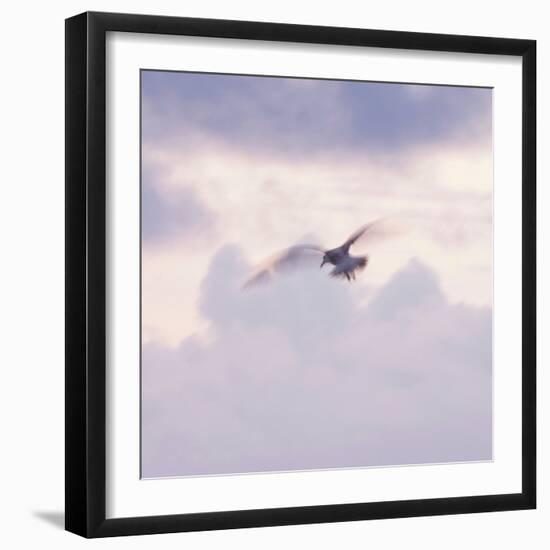 Into the Light-Jacob Berghoef-Framed Premium Photographic Print