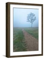 Into The Mist-Steve Gadomski-Framed Photographic Print