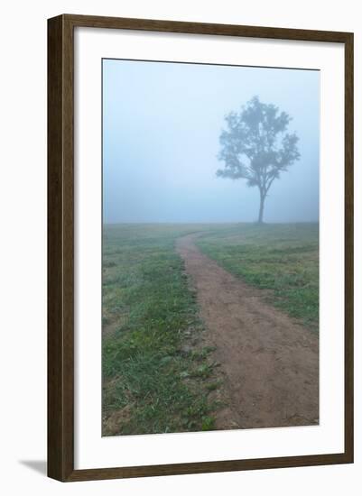 Into The Mist-Steve Gadomski-Framed Photographic Print