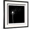 Into the Night II-Jim Wehtje-Framed Art Print