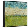 Into the Sky-Randy Hibberd-Framed Stretched Canvas