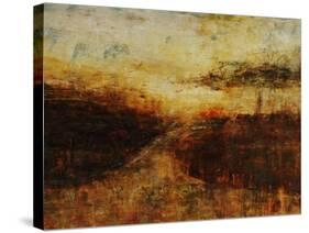 Into the Sun I-Jodi Maas-Stretched Canvas