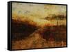 Into the Sun I-Jodi Maas-Framed Stretched Canvas