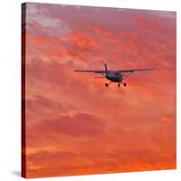 Into the Sunset-Steven Maxx-Stretched Canvas